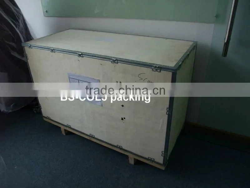Vertical CO2 surgical laser machine for livestock