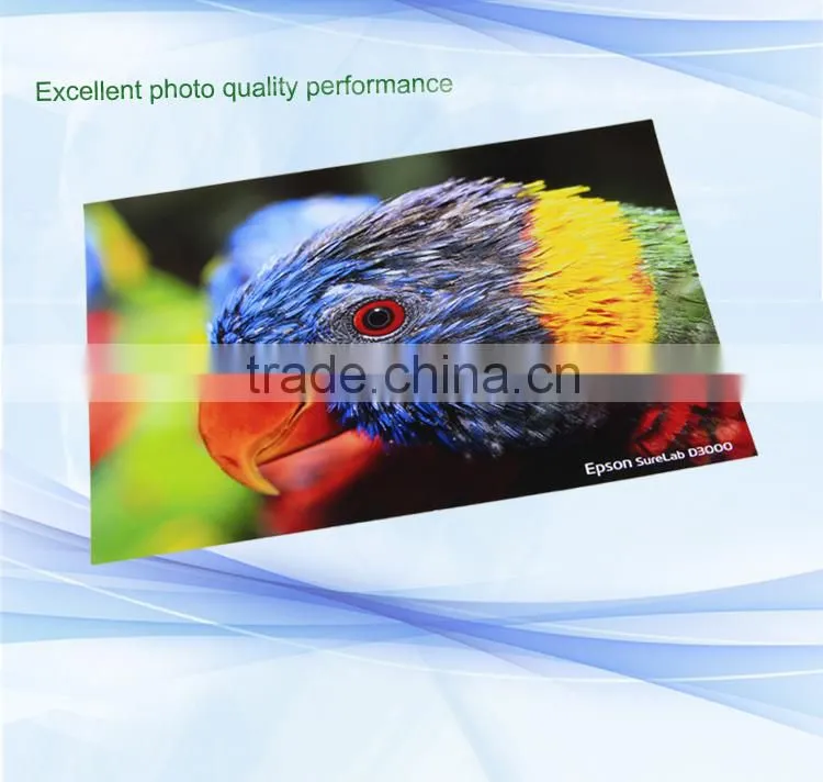 Drylab photo paper,8"x100m for Epson D3000
