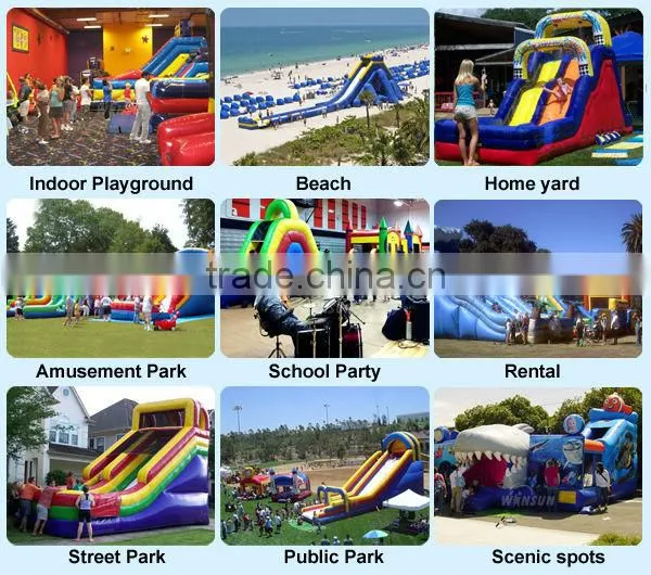 Hot!! animal themed WSS-005 inflatable eagle slide game for sale