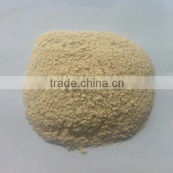 dehydrated white onion