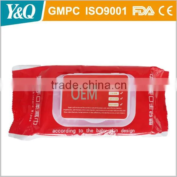 China Cheap Cleaning Oem/odm Wet Wipes