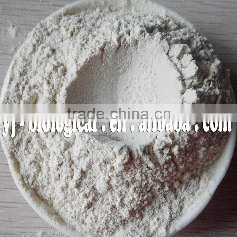Rice Protein 300 Mesh for Bakery