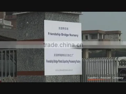 Xiamen Friendship Bridge Import & Export Trade Co., Ltd. company overview - view 1
