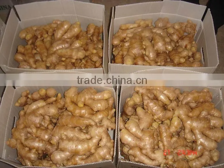 Fresh dry ginger