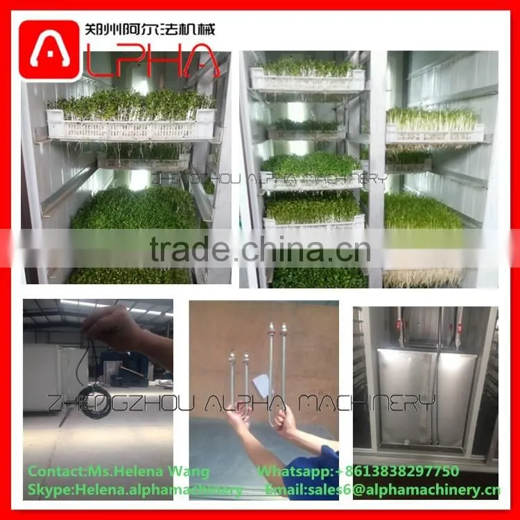 Grass seeds planting machine automatic bean sprout machine barley grass growing machine