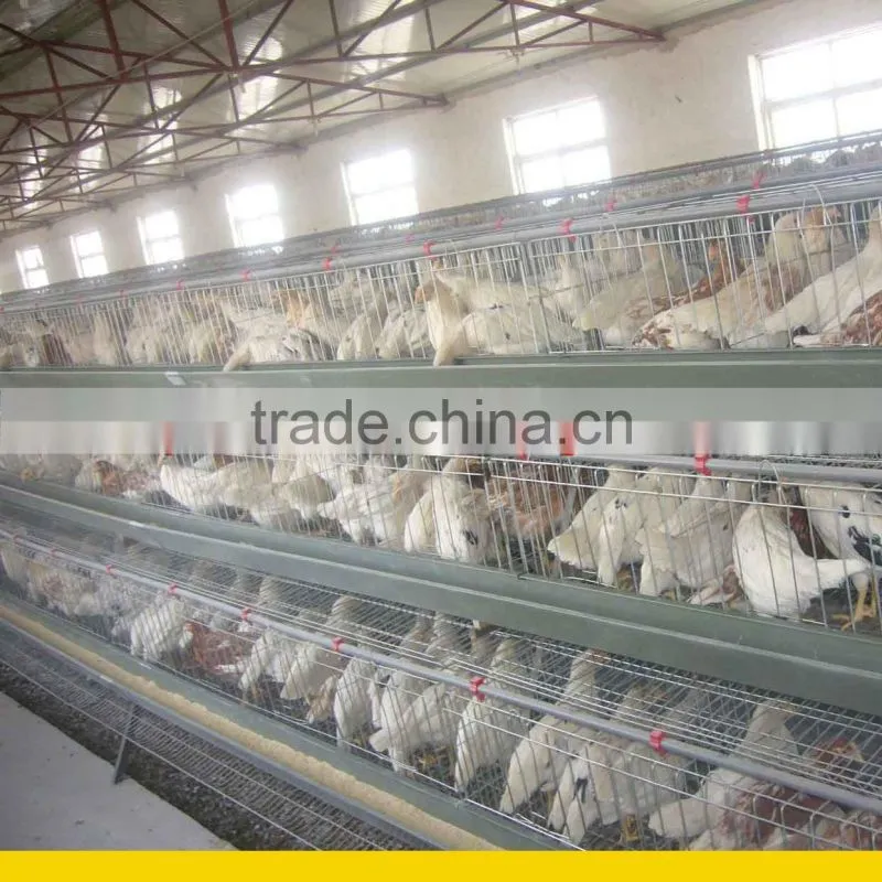 3 tiers poultry chicken cage