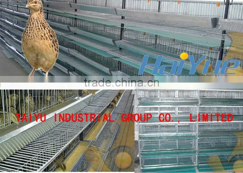 Quail battery cages for sale