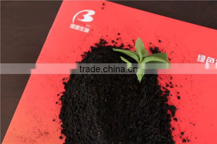 Bacterial Organic Soil Enhancer