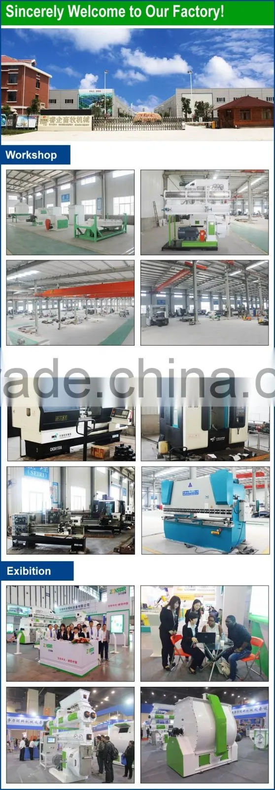 CE Hot Sale 3T/H Ring Die Animal Feed Pellet Mills / Feed Pellet Mill