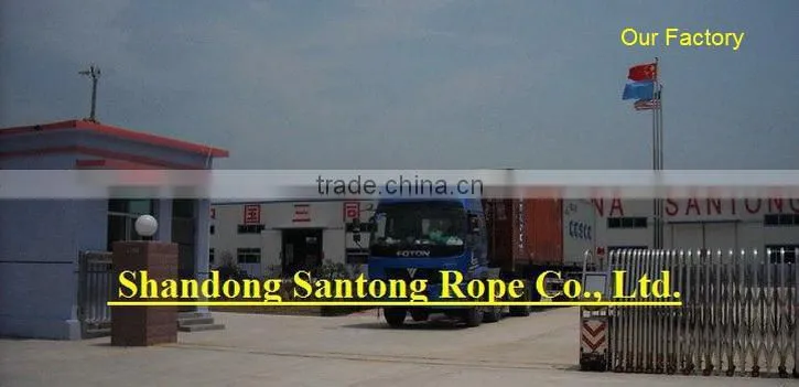 Hot sale Lead Rope for pet dog