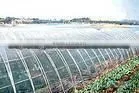recycle greenhouse film