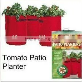 PE tomato planter