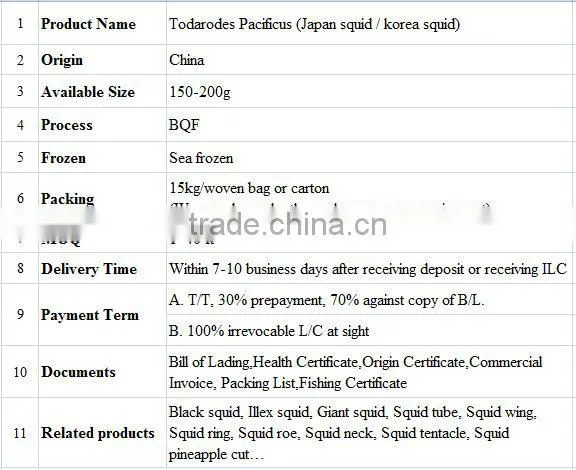 Whole Round Todarodes Pacificus Frozen Squid
