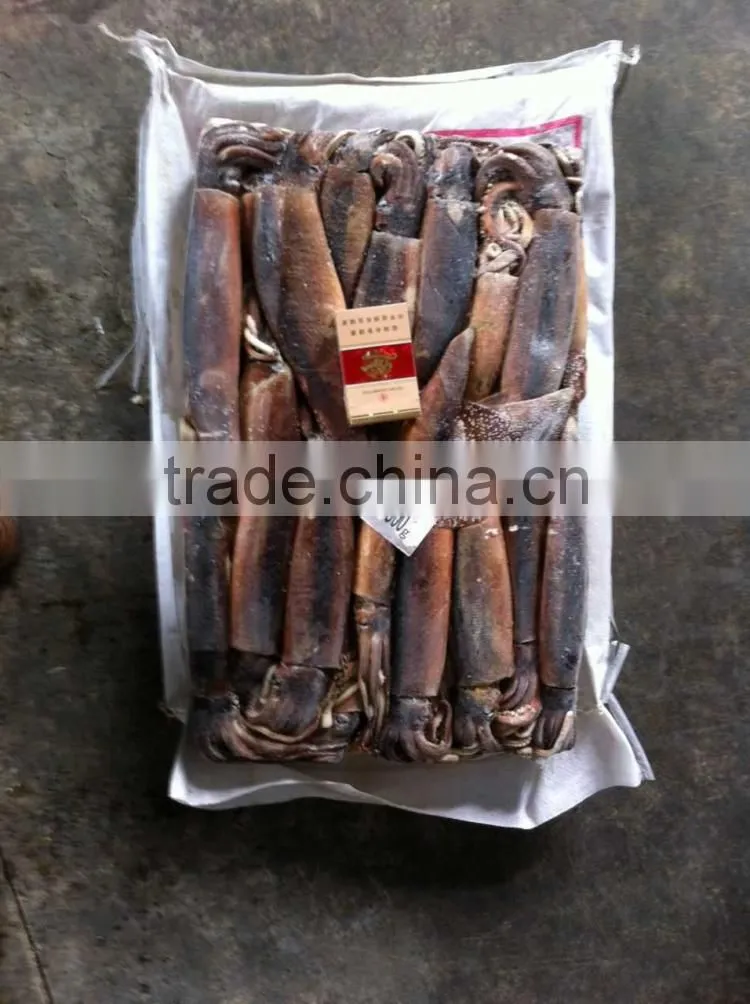 Whole round frozen squid argentina illex squid jigger catch wholesale