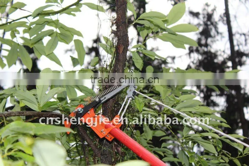 pole tree pruner