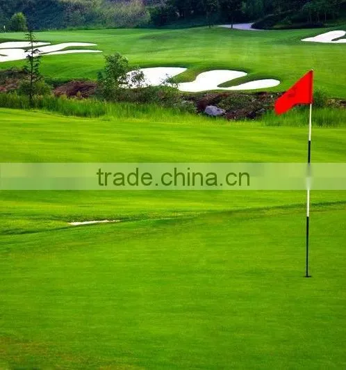 Good corrosion resistant golf flag pole,customized fiberglass golf flag pole