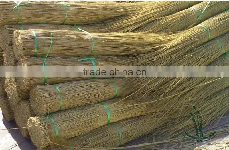 thatching reed bundles for roof