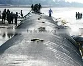 geobags use in rivers