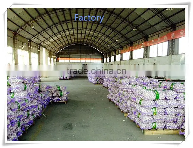 2016 Jinxiang fresh garlic