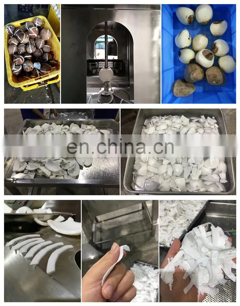 Complete crispy coconut chips production line