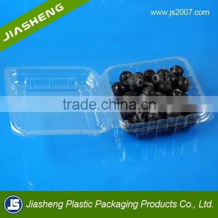 PET Clear plastic clamshell blueberry containers factory supplier