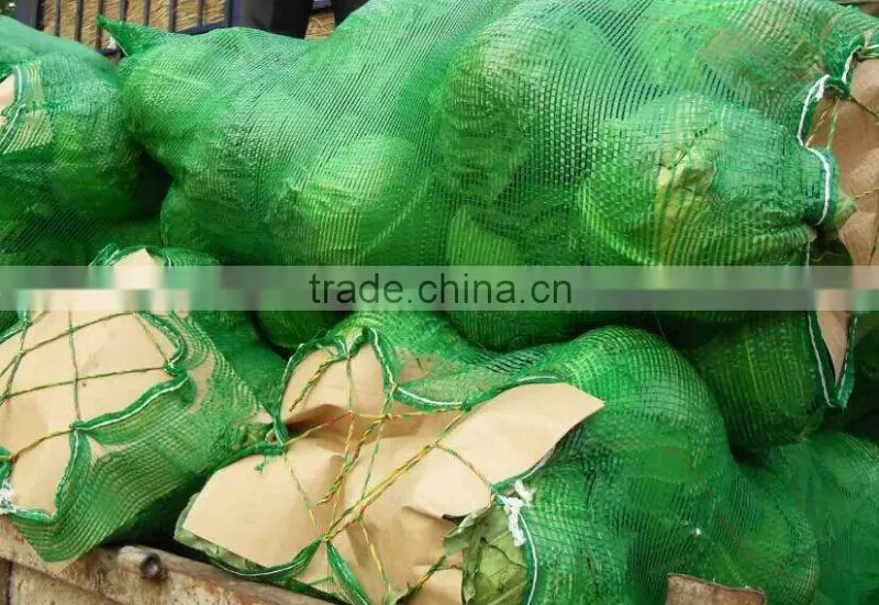 High Quality vegetables mesh bag ,checp plastic pp onion mesh bags