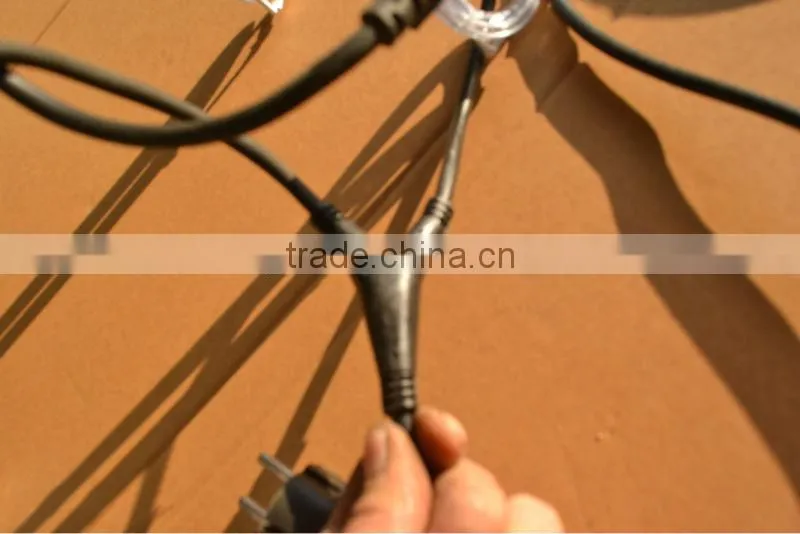 The 2013 Motor control outdoor animated rope lights