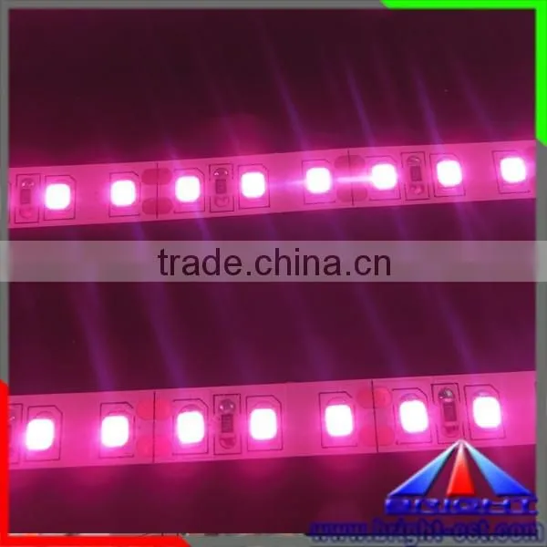 Pink Color LED Strip 2835,Led Light Strip Pink Colour