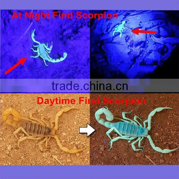 51 LED UV Light Bulb Flashlight 395nm Wavelength For Pet Urine Money Detector 51 395 UV with 3AAA Battery OEM ODM