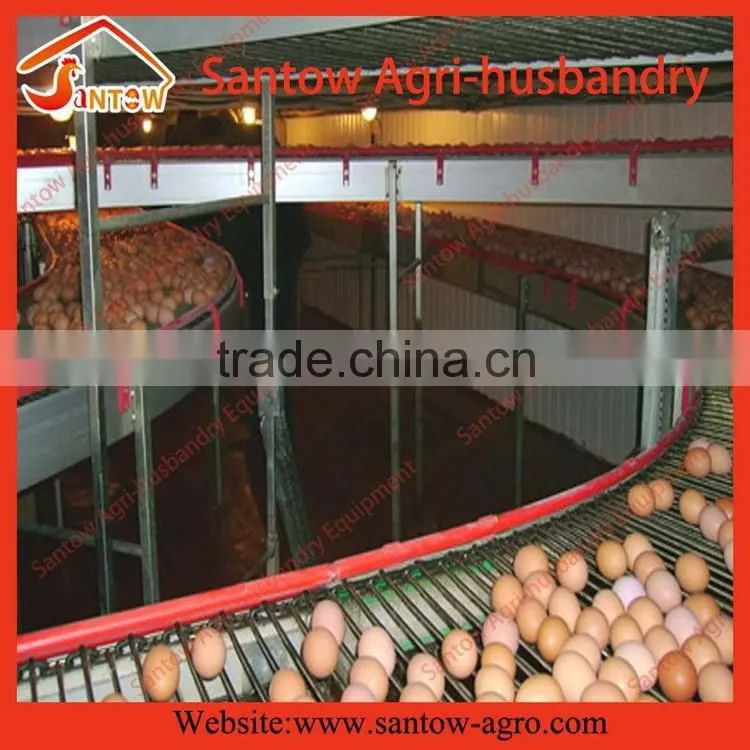 Stable steel structure professional chicken egg layer cage chicken egg layer house