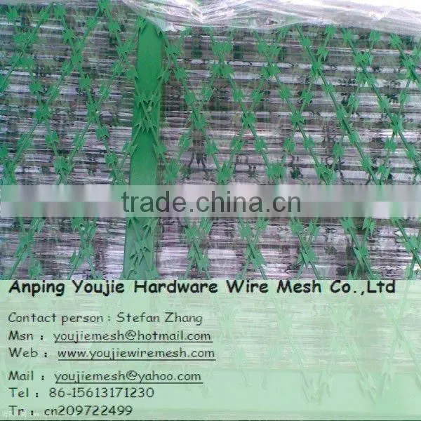 galvanized & PVC coated Razor Barbed Rope hot sell (factory)