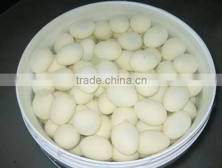 stainless steel chicken egg sheller with good quality
