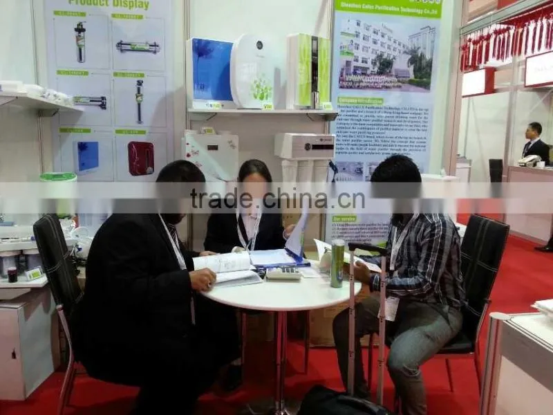 wholesaler RO Dengyuan Pump
