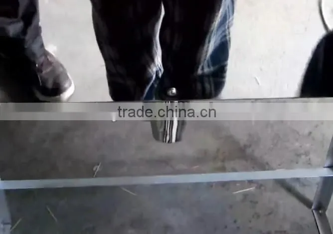 best quality and hot sale bamboo toothpick packing machine (skype:taizy2031)