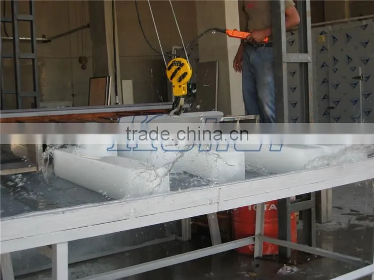 Koller containerized ice block plant JMB50 in 40GP container