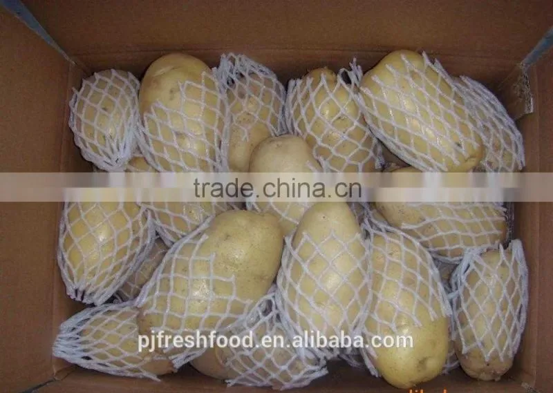 2015 Autumn Crop Potato