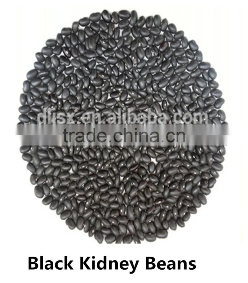 JSX cooking British red kidney bean round shape food grade red kidney bean
