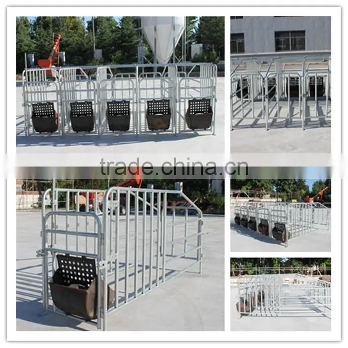 Goldenest High quality cheap price automatic farrowing crate for pigs sow sty farming equipment for sale