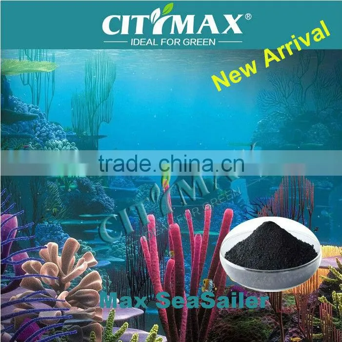 Fucoxanthin Seaweed Extract