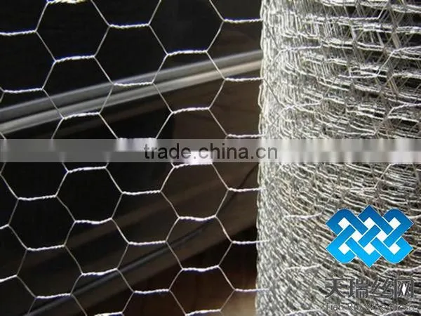 Galvanized chicken wire netting