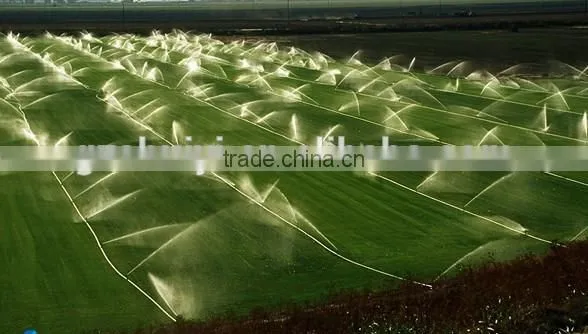 Lawn irrigation system