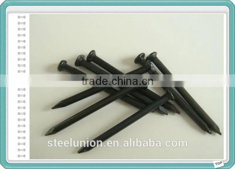 Hot Sale Black Concrete Nail/Dubai Market Black Steel Nail