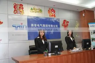 Yueqing Saip Electric Co., Ltd. company overview - view 1