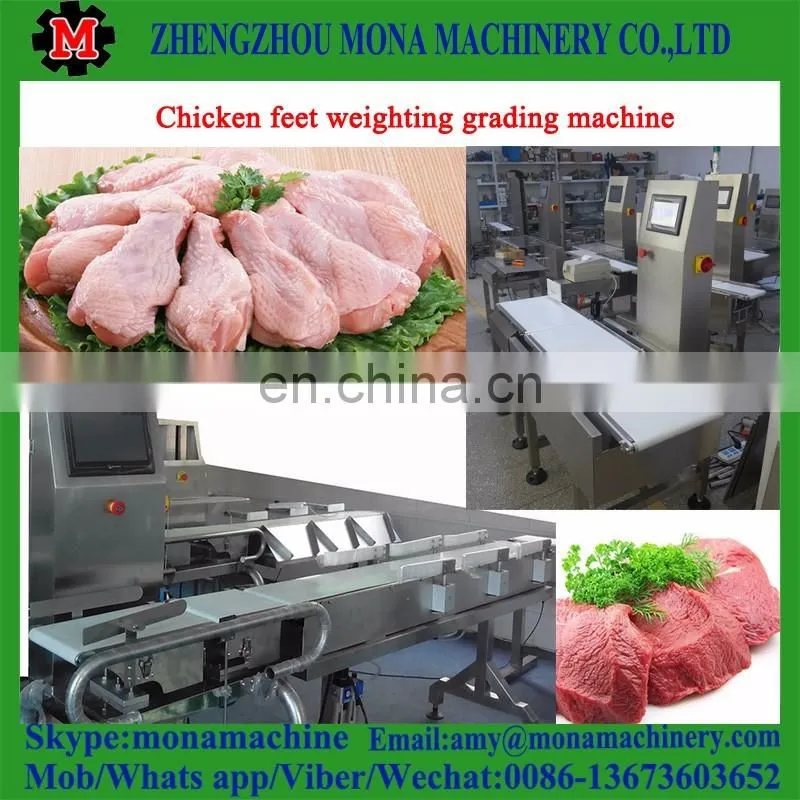 Safe and easy operation Shrimp Grader Machine|Sea Food Sorting Machine with low price