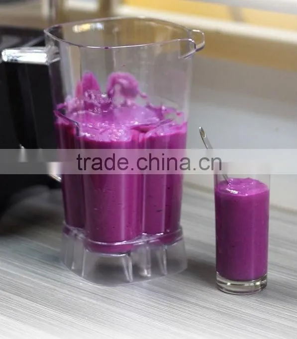 Fruit Juicer Blender