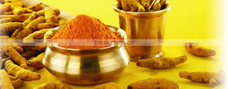Organic Turmeric Powder Bulk Producers