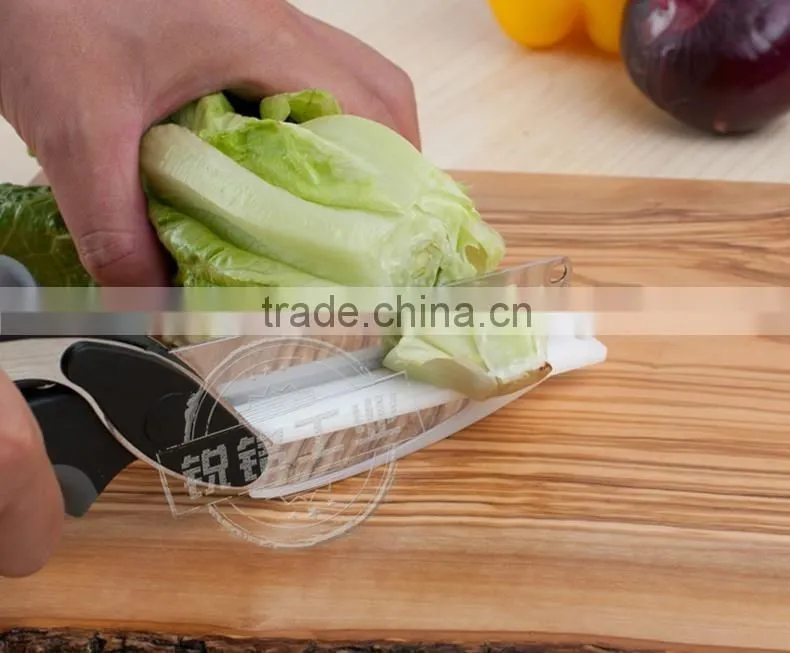 Clever Cutter 2-in-1 Food Chopper - Replace your Kitchen Knives and Cutting Boards