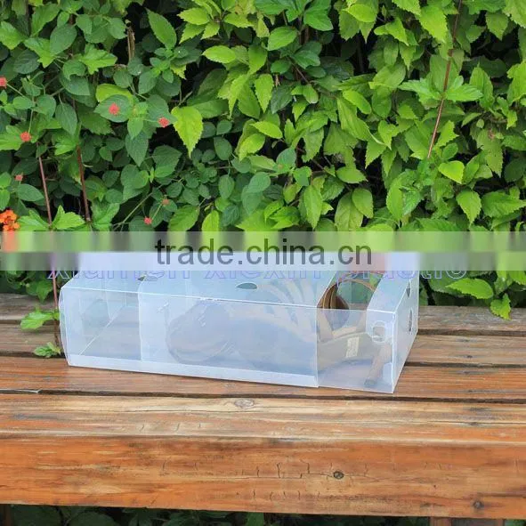box shoe