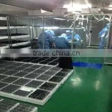 Guangzhou Wanhuan Trading Limited Company company overview - view 3