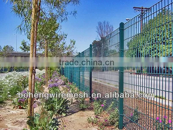ISO quality welded wire mesh from China Manufacturer